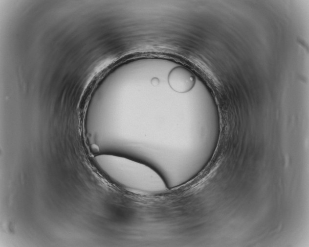 X0000096960974200802080856