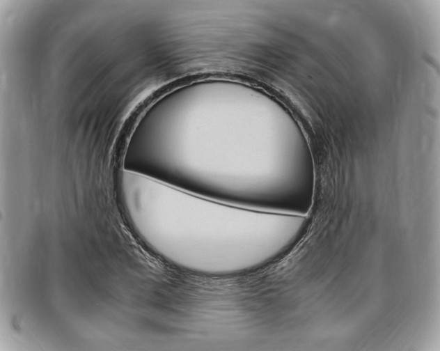 X0000096960975200802080856