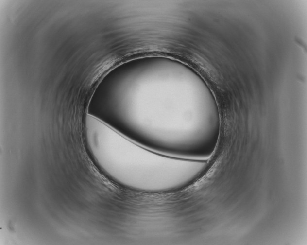X0000096960977200802080856