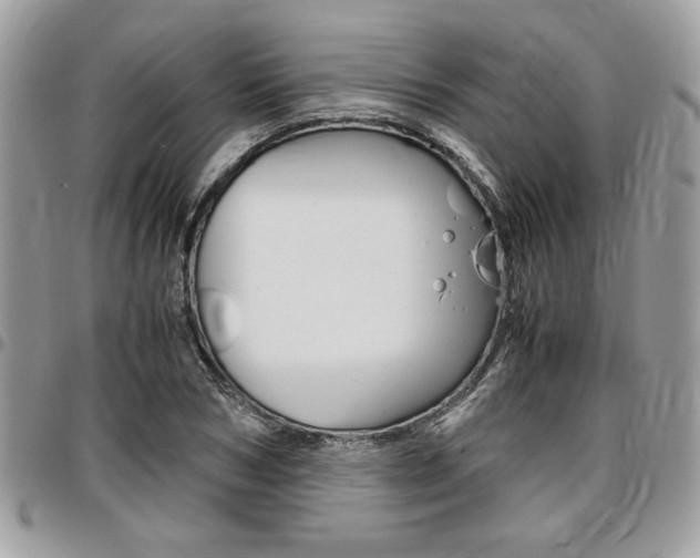 X0000096960978200802080856