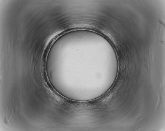 X0000096960979200802080856