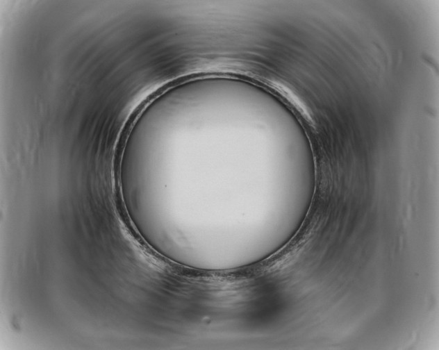 X0000096960980200802080856