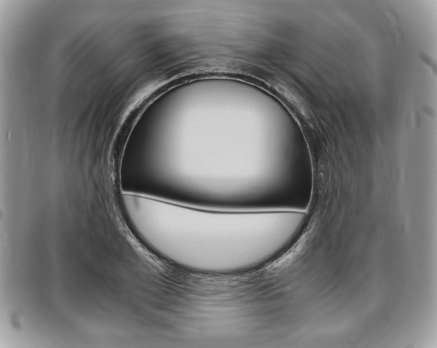 X0000096960981200802080856