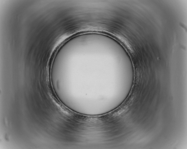 X0000096960982200802080856