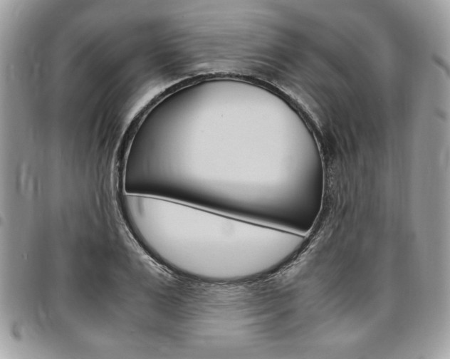 X0000096960983200802080856