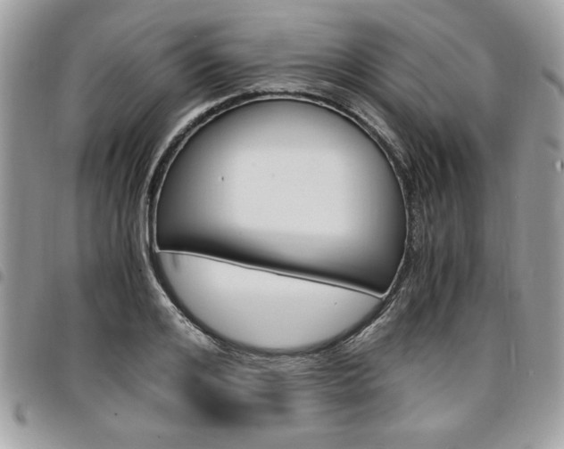X0000096960984200802080856