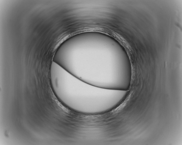 X0000096960985200802080856