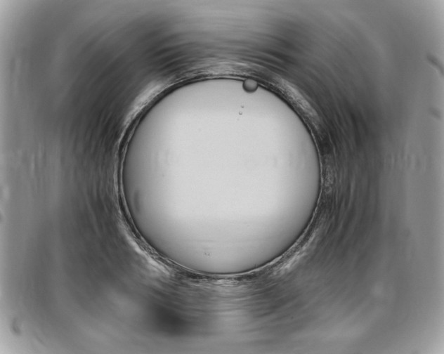 X0000096960986200802080856