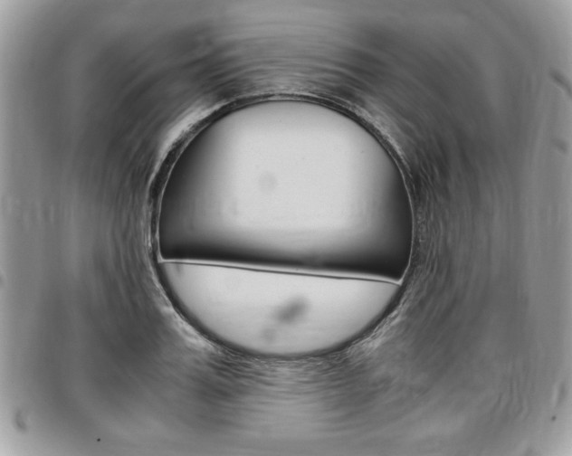 X0000096960987200802080856