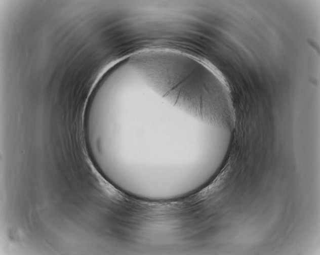 X0000096960988200802080855