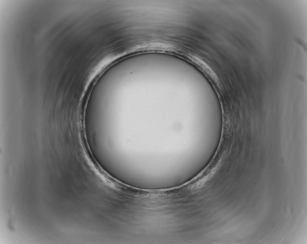 X0000096960989200802080855