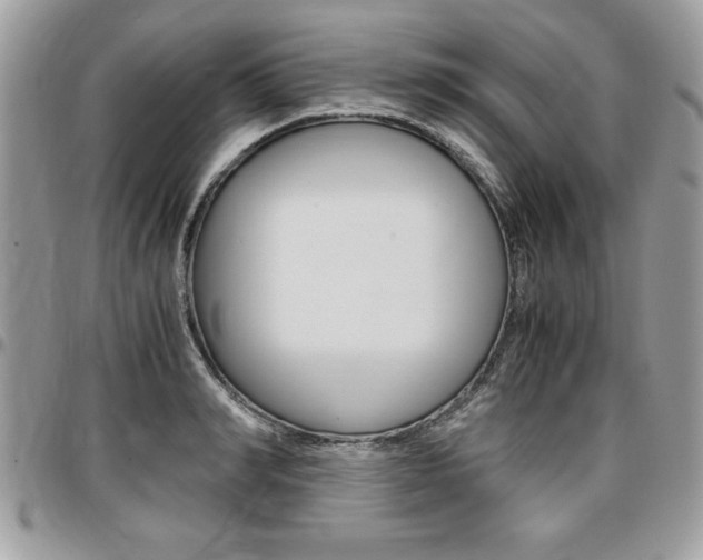 X0000096960990200802080855