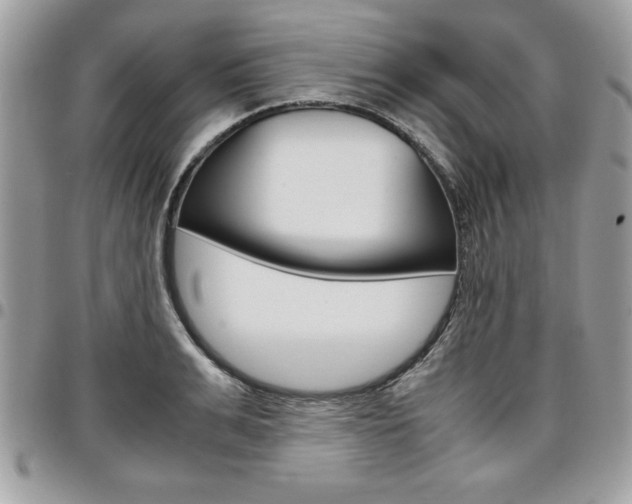 X0000096960991200802080855