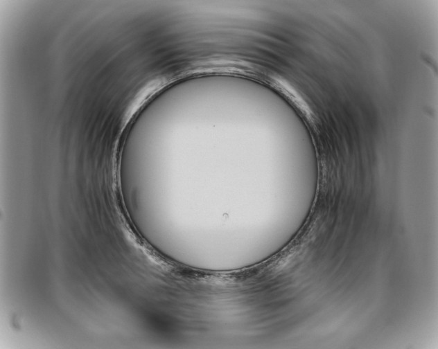 X0000096960994200802080855