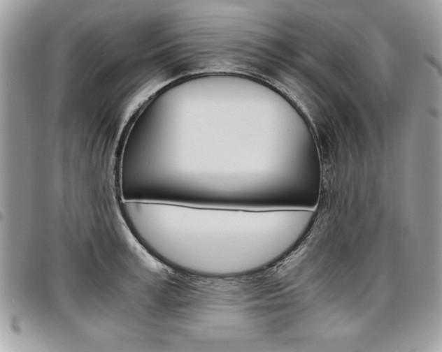 X0000096960995200802080855