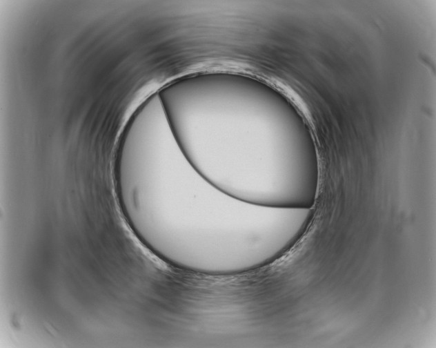 X0000096960997200802080855