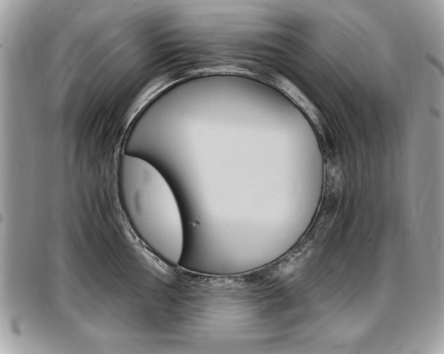 X0000096961002200802080855
