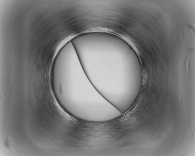 X0000096961003200802080855