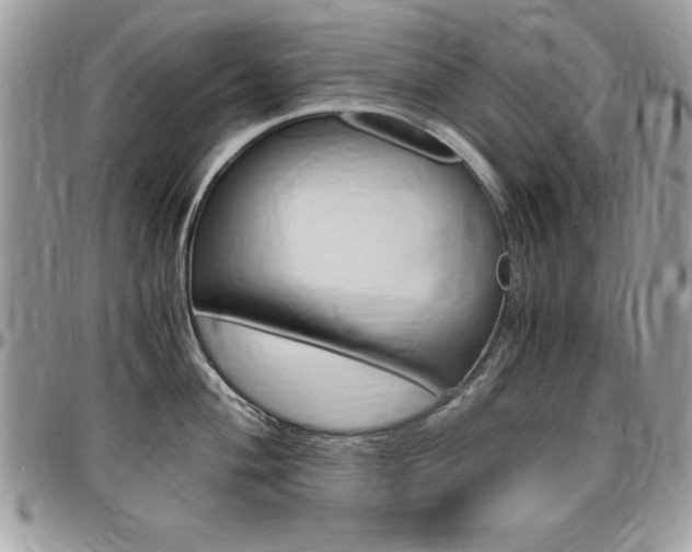 X0000096961004200802080855