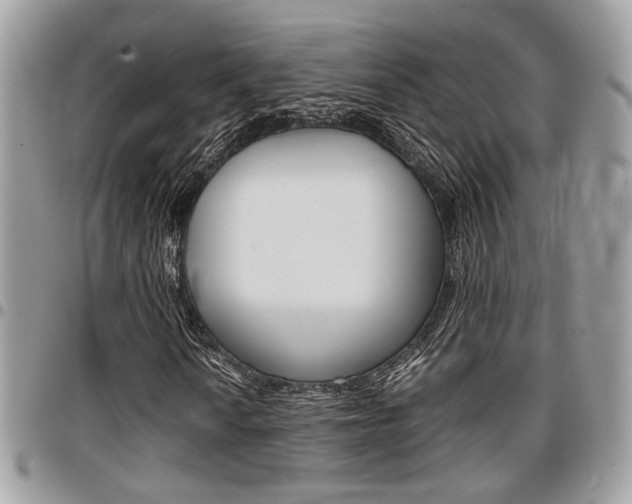 X0000096961010200802080855