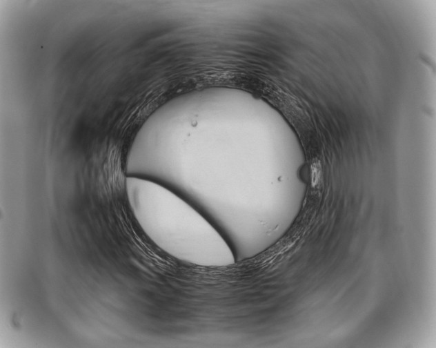 X0000096961011200802080855