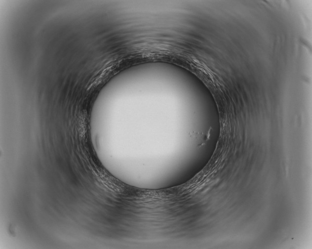 X0000096961012200802080855