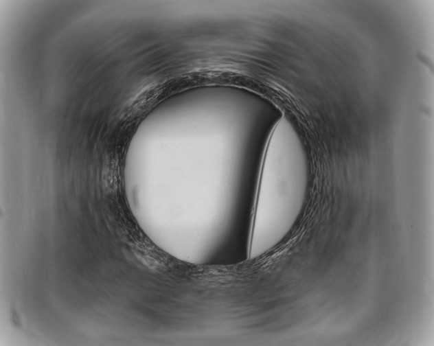 X0000096961014200802080855