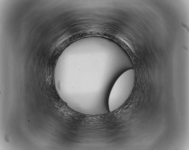 X0000096961015200802080855