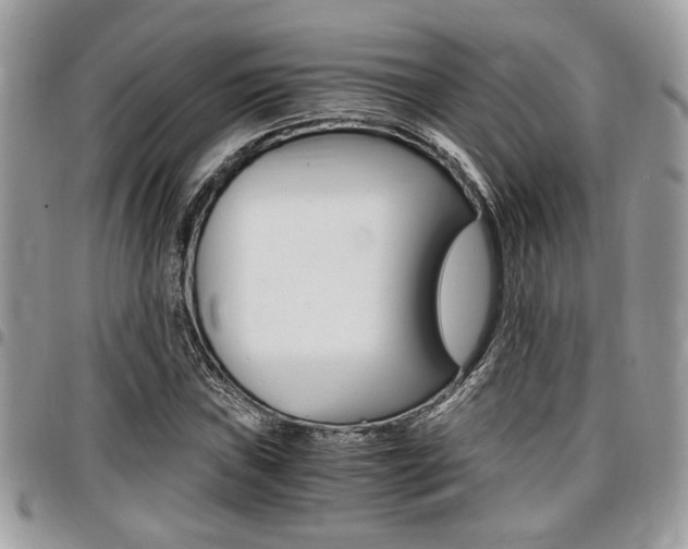 X0000096961019200802080855