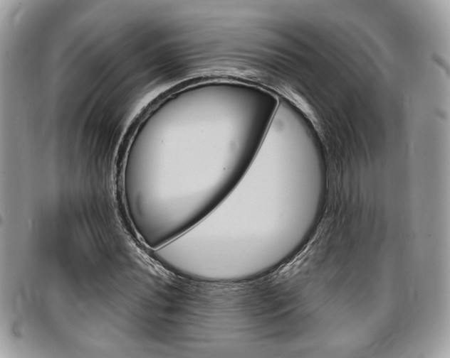 X0000096961020200802080855