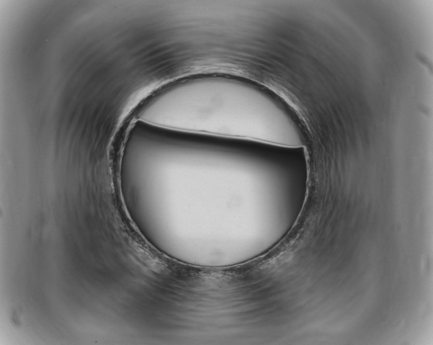 X0000096961022200802080855