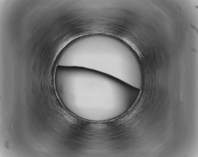 X0000096961023200802080855