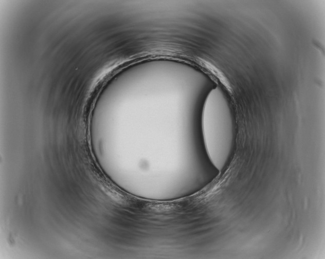 X0000096961027200802080855