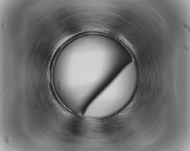 X0000096961028200802080855