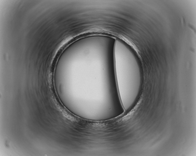 X0000096961029200802080855