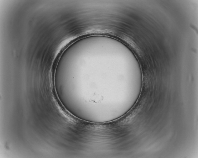 X0000096961030200802080855