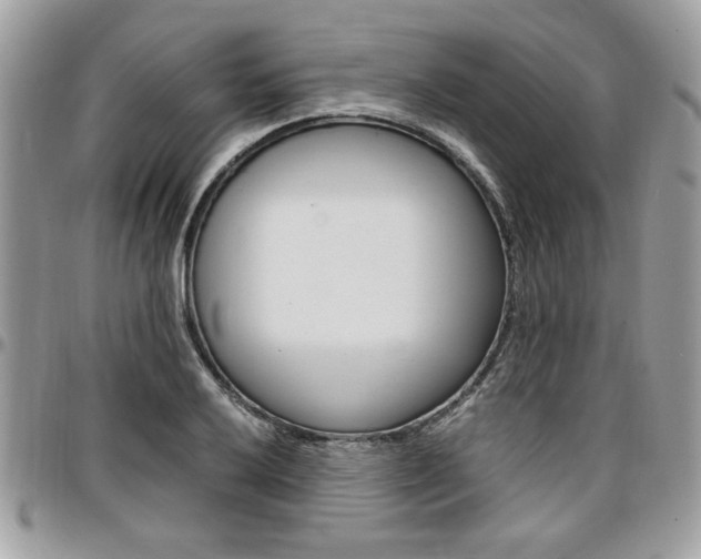 X0000096961032200802080855
