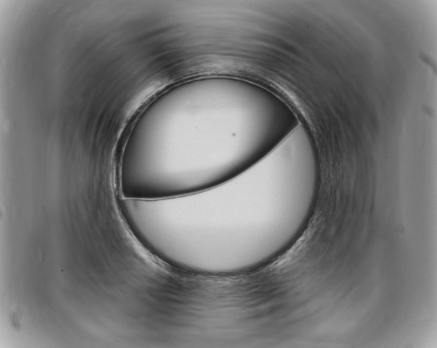 X0000096961034200802080855