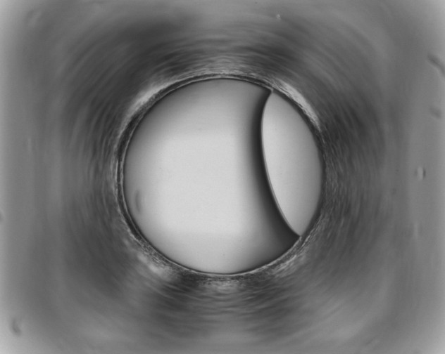 X0000096961035200802080855