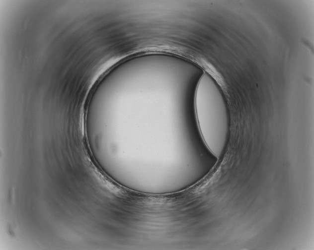 X0000096961036200802080855