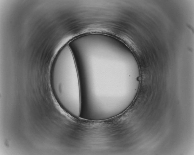 X0000096961038200802080855