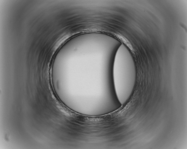 X0000096961039200802080855