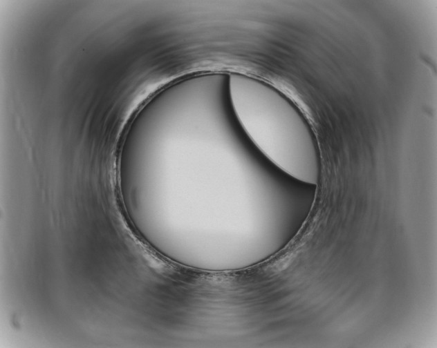 X0000096961040200802080855