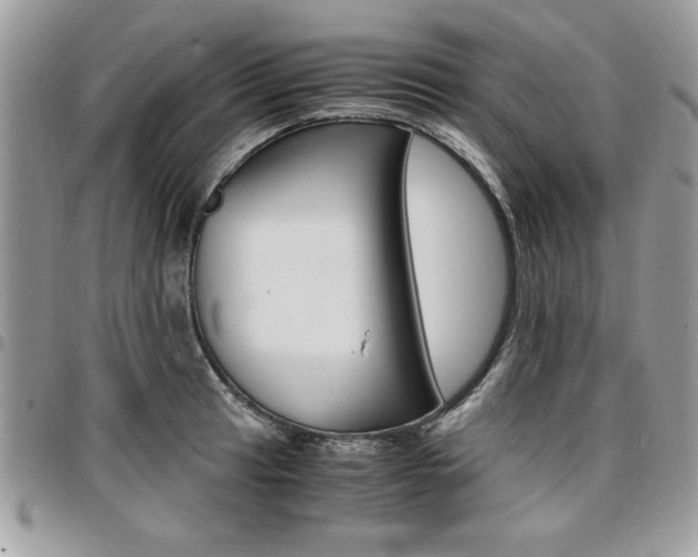 X0000096961041200802080855