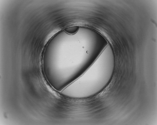 X0000096961042200802080855