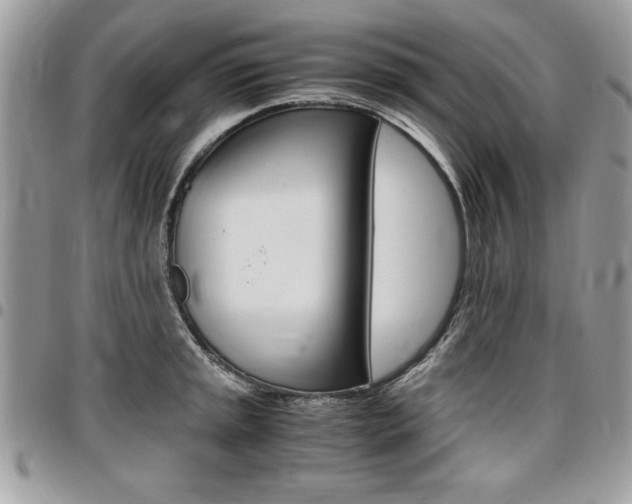 X0000096961045200802080855