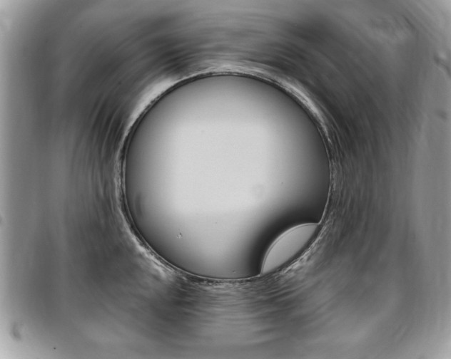 X0000096961048200802080855