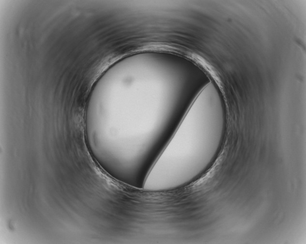 X0000096961049200802080855