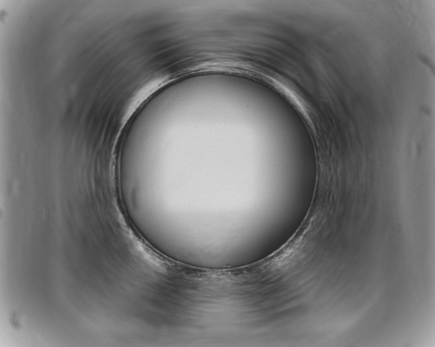 X0000096961050200802080855