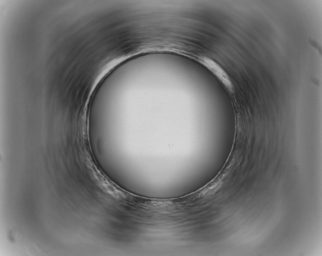 X0000096961052200802080855